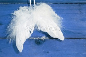 124003726 angel wings
