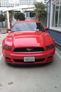 Mustang III
