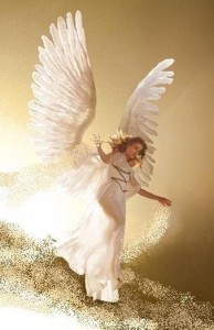 white angel
