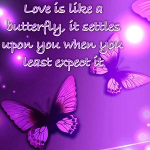 love and butterfly
