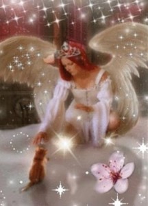 angel and cat