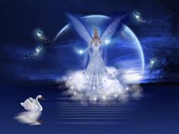 angela nd swan 2